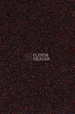 Грязезащитные покрытия Vebe Granati Pc 40 фото 1 | FLOORDEALER